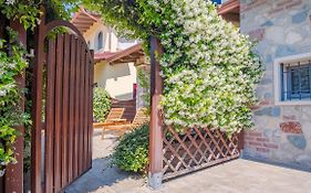 Endless Summer Sirmione - Italian Homing